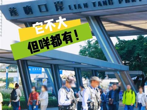 莲塘口岸商业城|单日客流首超9万人次！通关攻略来了